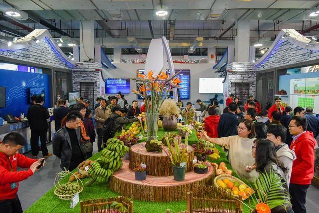 杭州新农都会展中心4号馆中心展厅汇集了本次农博会的各种新奇特农